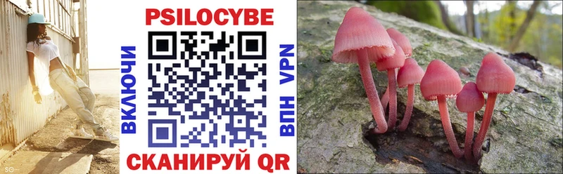 Псилоцибиновые грибы GOLDEN TEACHER Серов